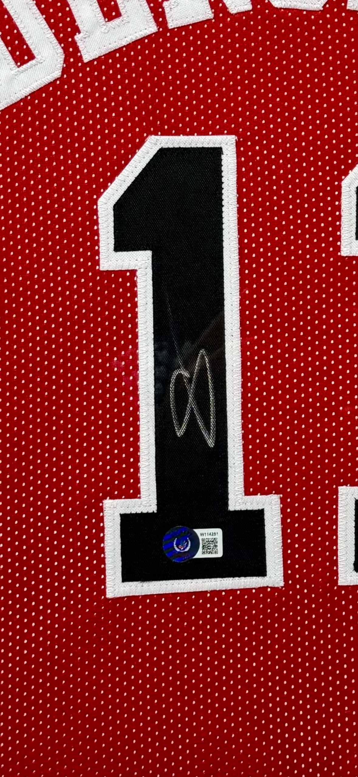 Demar DeRozan - Autograph Jersey (JSA) - Framed
